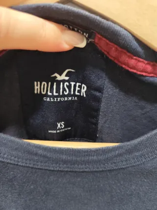 Camiseta Hollister Manga Larga