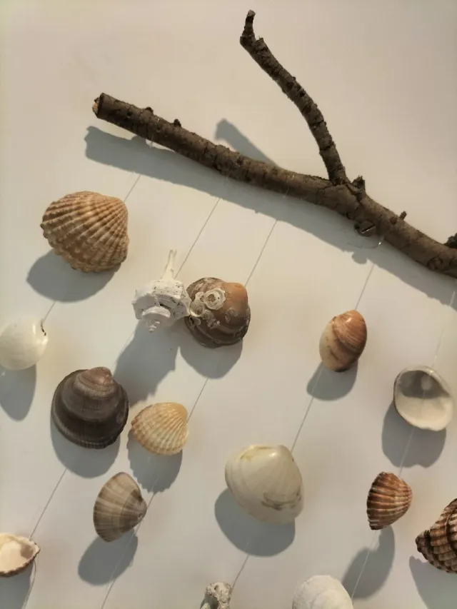 Atrapasueños colgante de conchas marinas