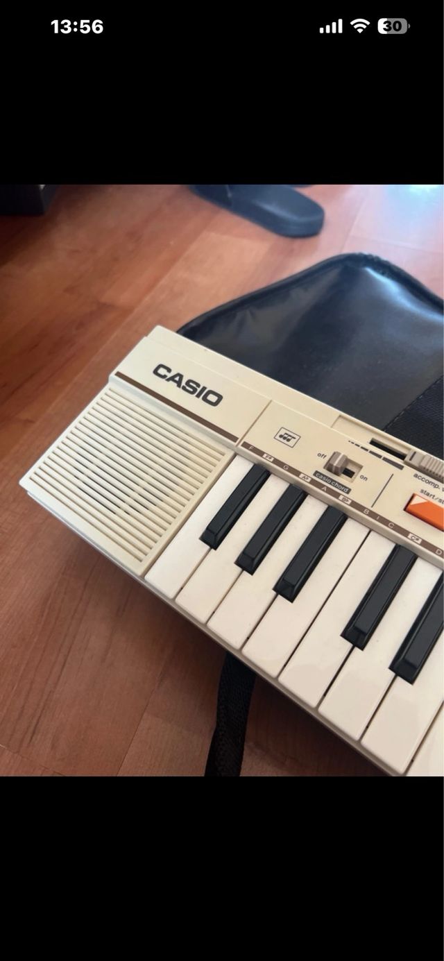 Teclado Electrónico Casio