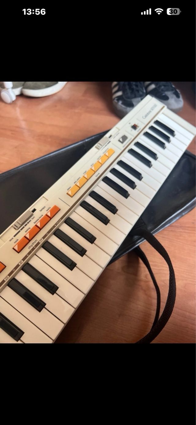 Teclado Electrónico Casio