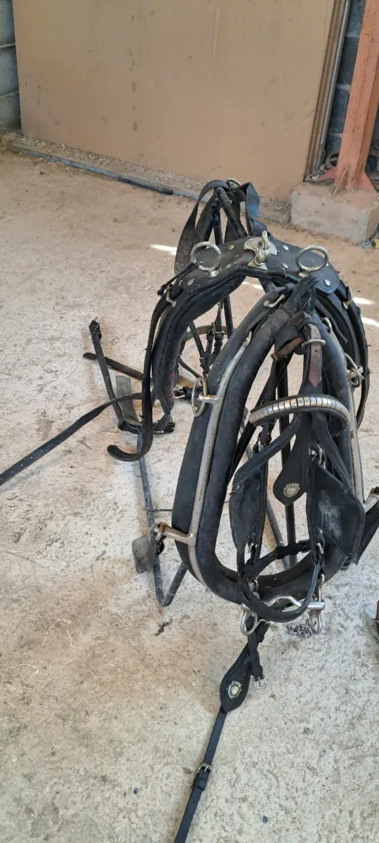 Aparejo caballo limonera.no envios