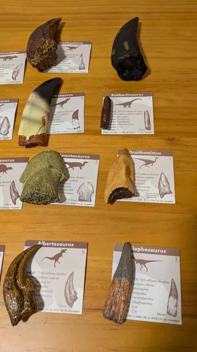 Colección Garras Dinosaurio Resina