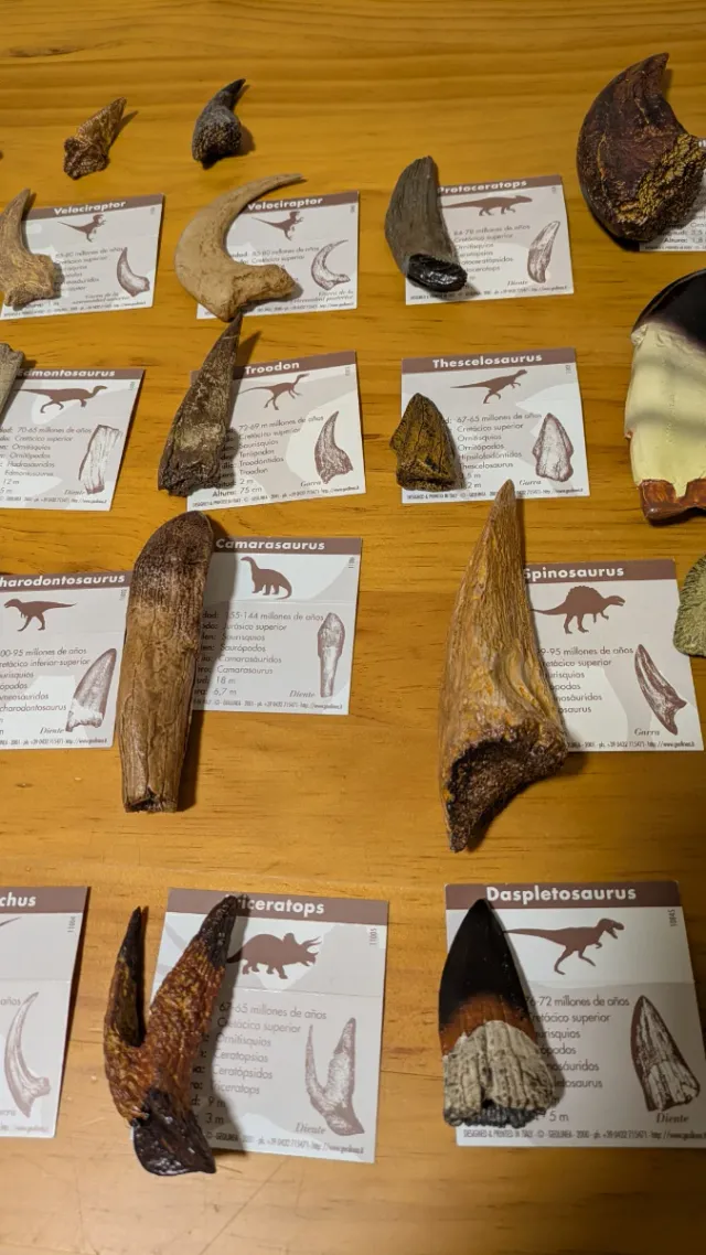 Colección Garras Dinosaurio Resina