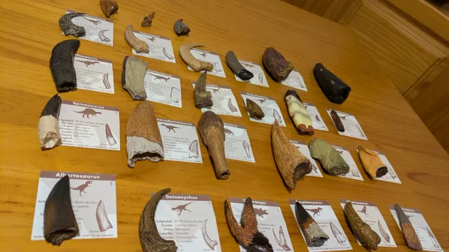 Colección Garras Dinosaurio Resina