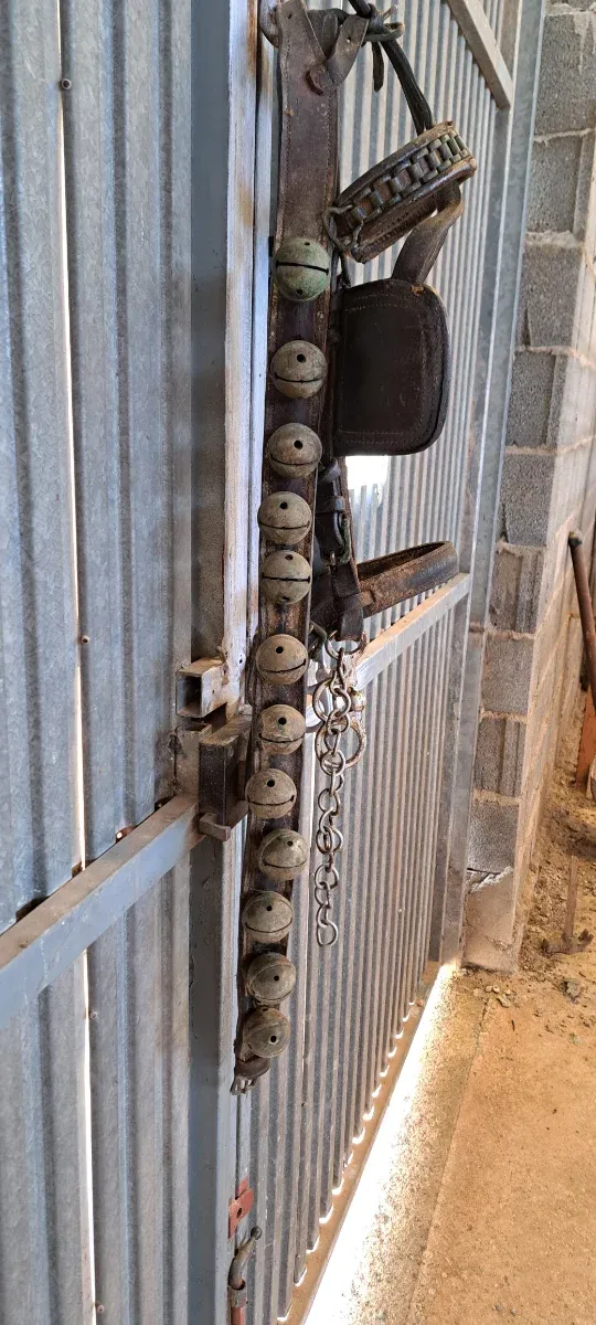 Collar de cascabeles para animales.