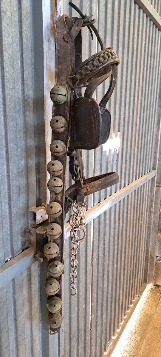 Collar de cascabeles para animales.