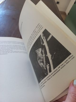 Piccoli mammiferi domestici