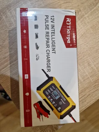 Cargador Batería Coche 12V 8A RJ Tianye