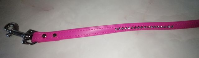 Collar y Correa para Gato/Perro Pequeño Rosa