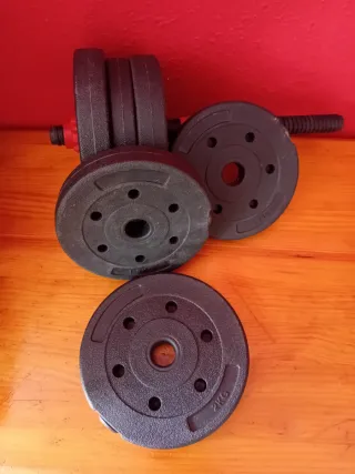 Pesa con 3 discos