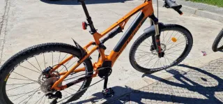 Megamo Ridon FS 2023