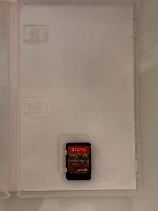 Minecraft Nintendo Switch