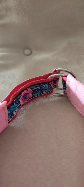 Set Guinzaglio e Collare Cane Floreale