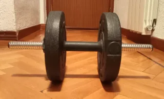 Mancuerna y discos de pesas