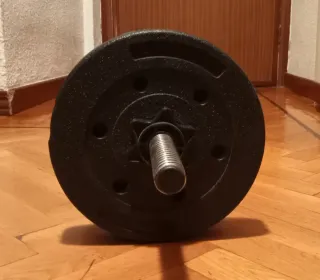 Mancuerna y discos de pesas