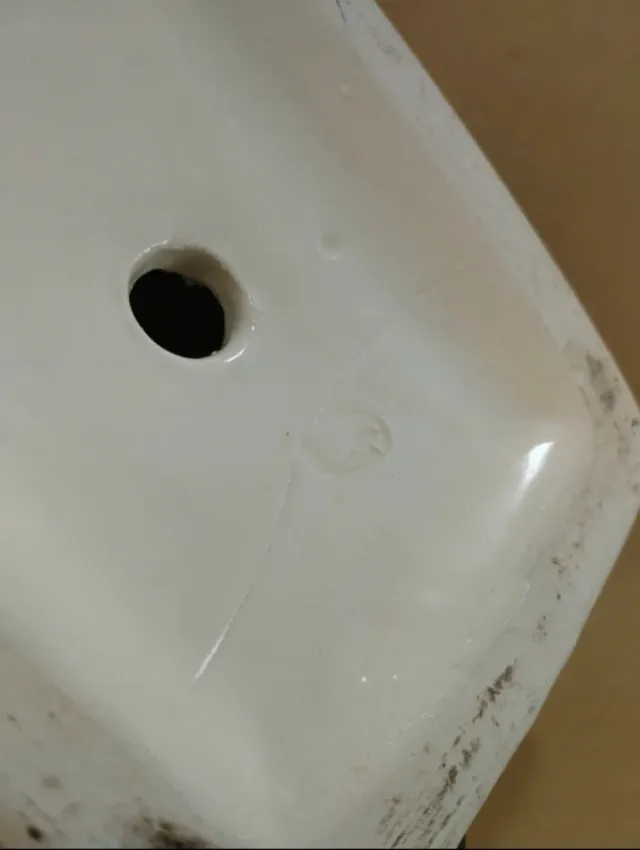 Pareja elefantes Hispania