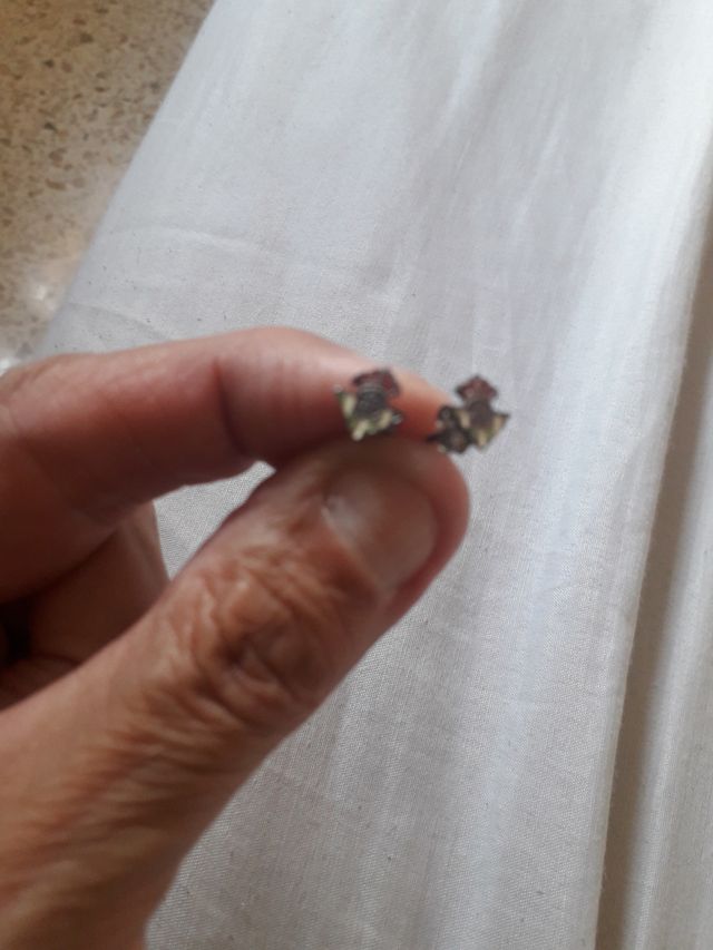 Orecchini in argento Betis