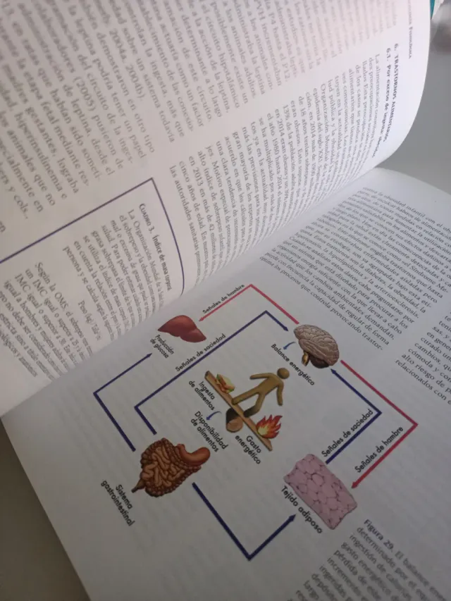 Psicología fisiológica (GRADO) (Spanish Edition)