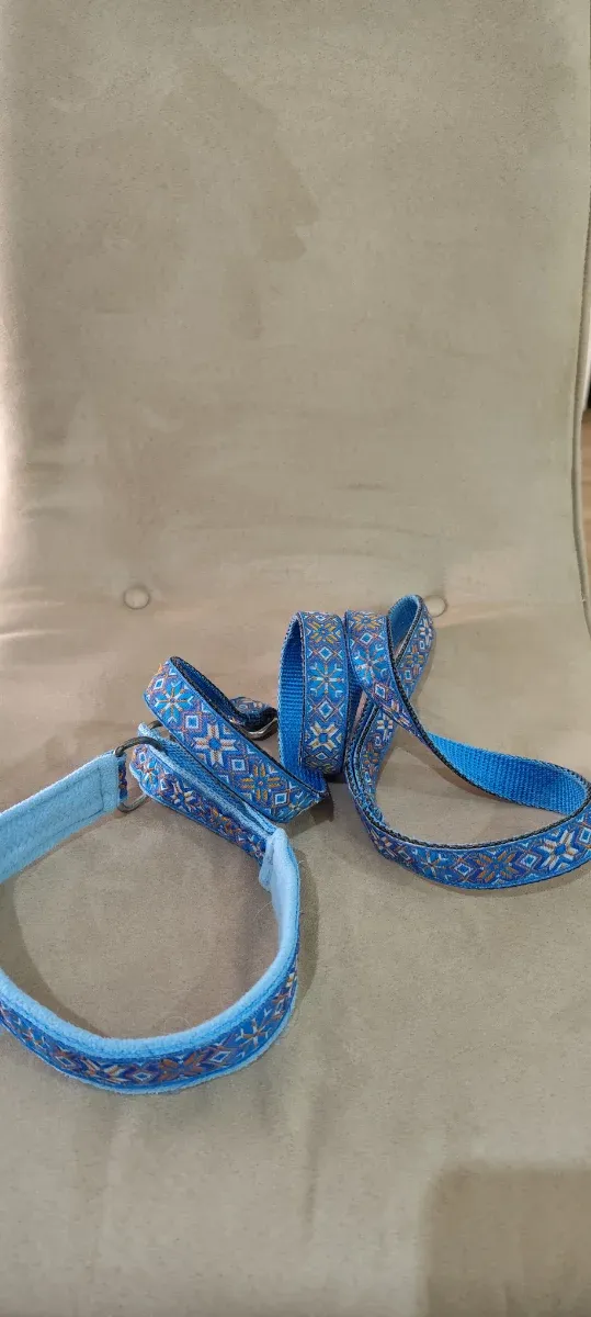 Set Guinzaglio e Collare Artigiana