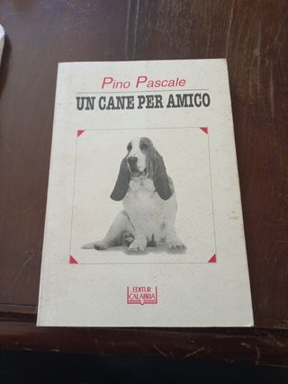 Un cane per amico