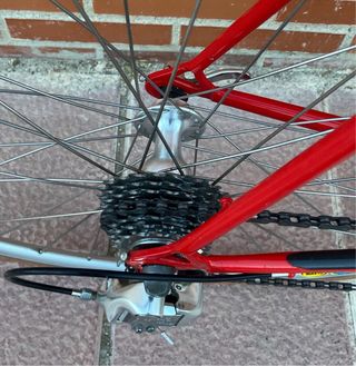 Pinarello Campagnolo Talla 56 Roja