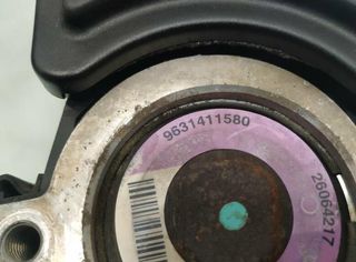 Bomba dirección peugeot 335978 9631411580 206 xr