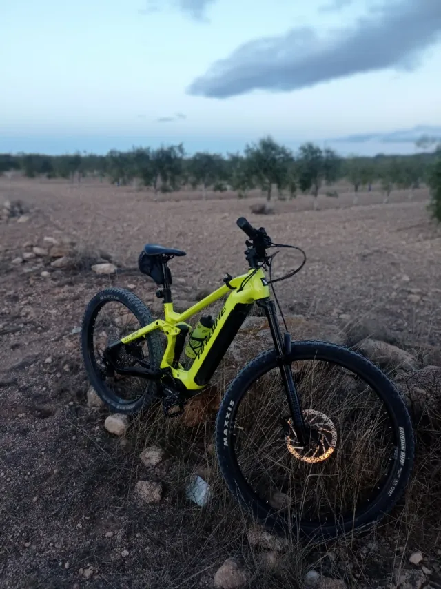 Bicicleta Eléctrica Haibike ALL MTN 730W hora