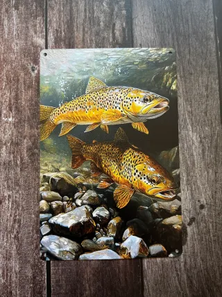 CARTEL DECORATIVO TRUCHA COMUN PESCA