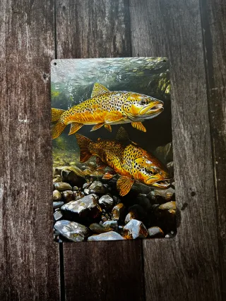 CARTEL DECORATIVO TRUCHA COMUN PESCA