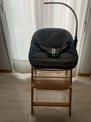 Trona evolutiva madera