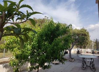 Habitación doble estudio en alquiler