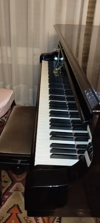 Piano Steinway & Sons