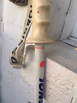 Palos de esquí Rossignol