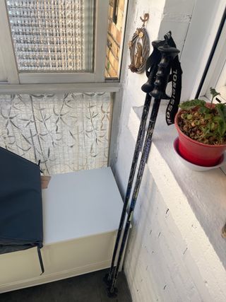 Palos de esquí Rossignol