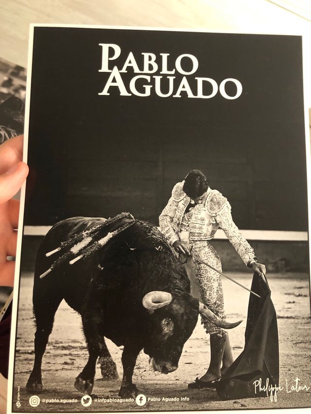 Láminas toreros: se venden por separado 