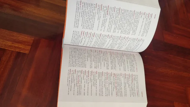 Pequeno Dicionario Xerais da Lingua