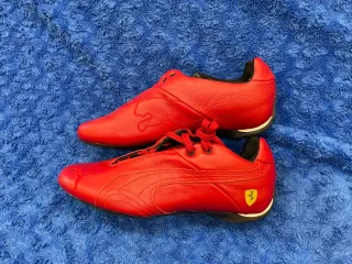 Deportivas Puma Ferrari Rojas, Amarillas, marrones