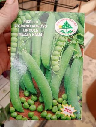 Semi Piselli Lincoln 250g