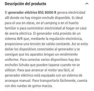 Generador BSG 8000 RE