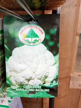 semi cavilfiore
 2.20 a bustina