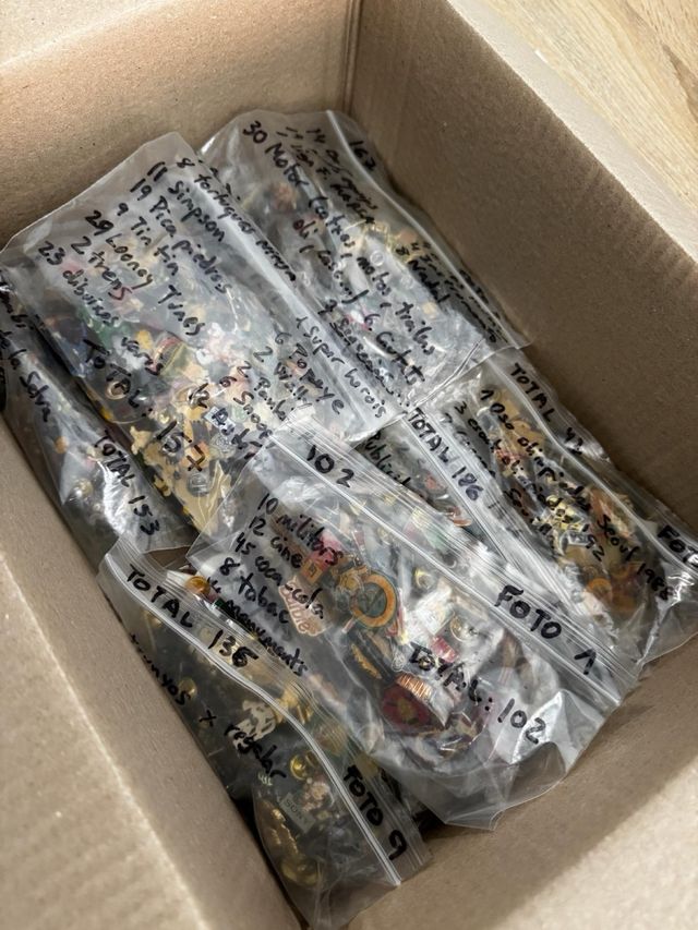 Colección de Pines Variados