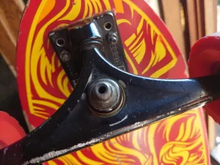 Santa Cruz Sun Goddess Cruzer Skateboard