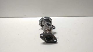 VALVULA EGR para SEAT IBIZA (6K1) 1999 102000