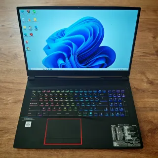 Portátil MSI GE75 Raider 10SFS Alta Gama