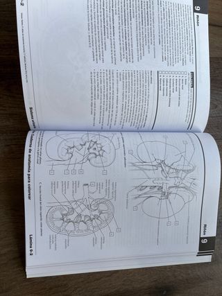 Netter Cuaderno de anatomía para colorear (2ª ed.)
