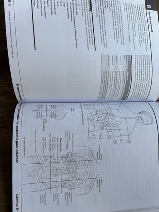 Netter Cuaderno de anatomía para colorear (2ª ed.)
