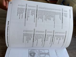 Netter Cuaderno de anatomía para colorear (2ª ed.)