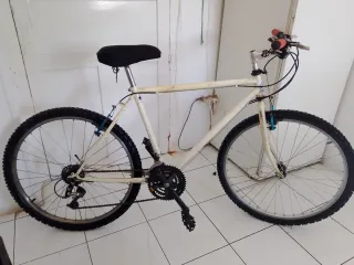 Bicicleta Montaña Orbea talla L de adulto de 26" 