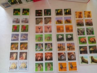Juego de memoria Diset 54 cartas animales