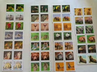 Juego de memoria Diset 54 cartas animales